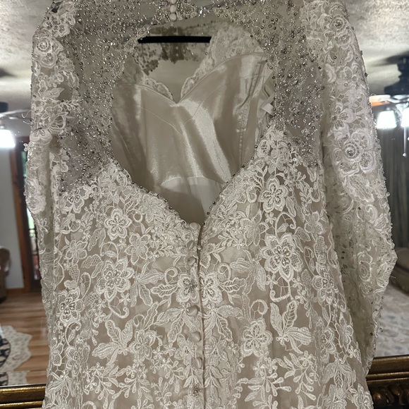 Elegant Lace Wedding Dress - Picture 6 of 10